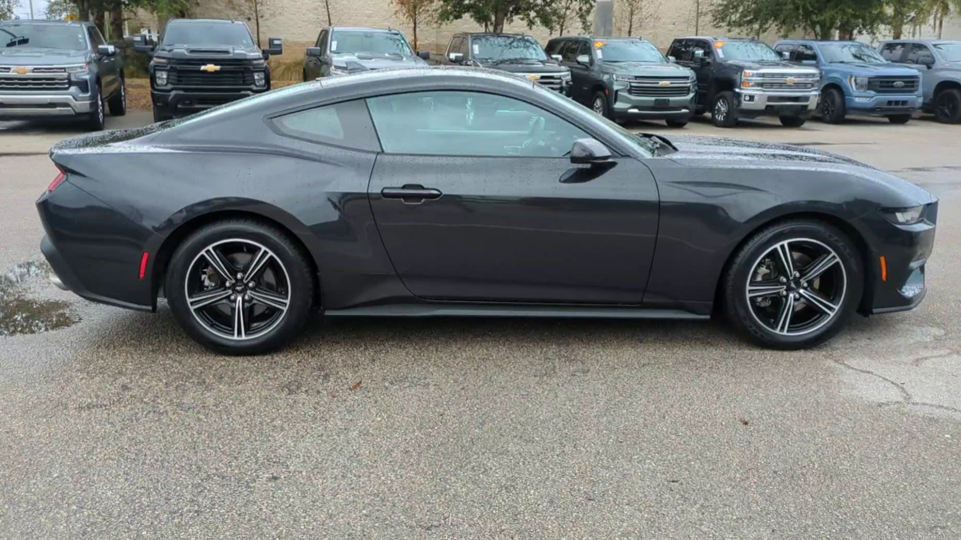 2024 Ford Mustang EcoBoost Fastback