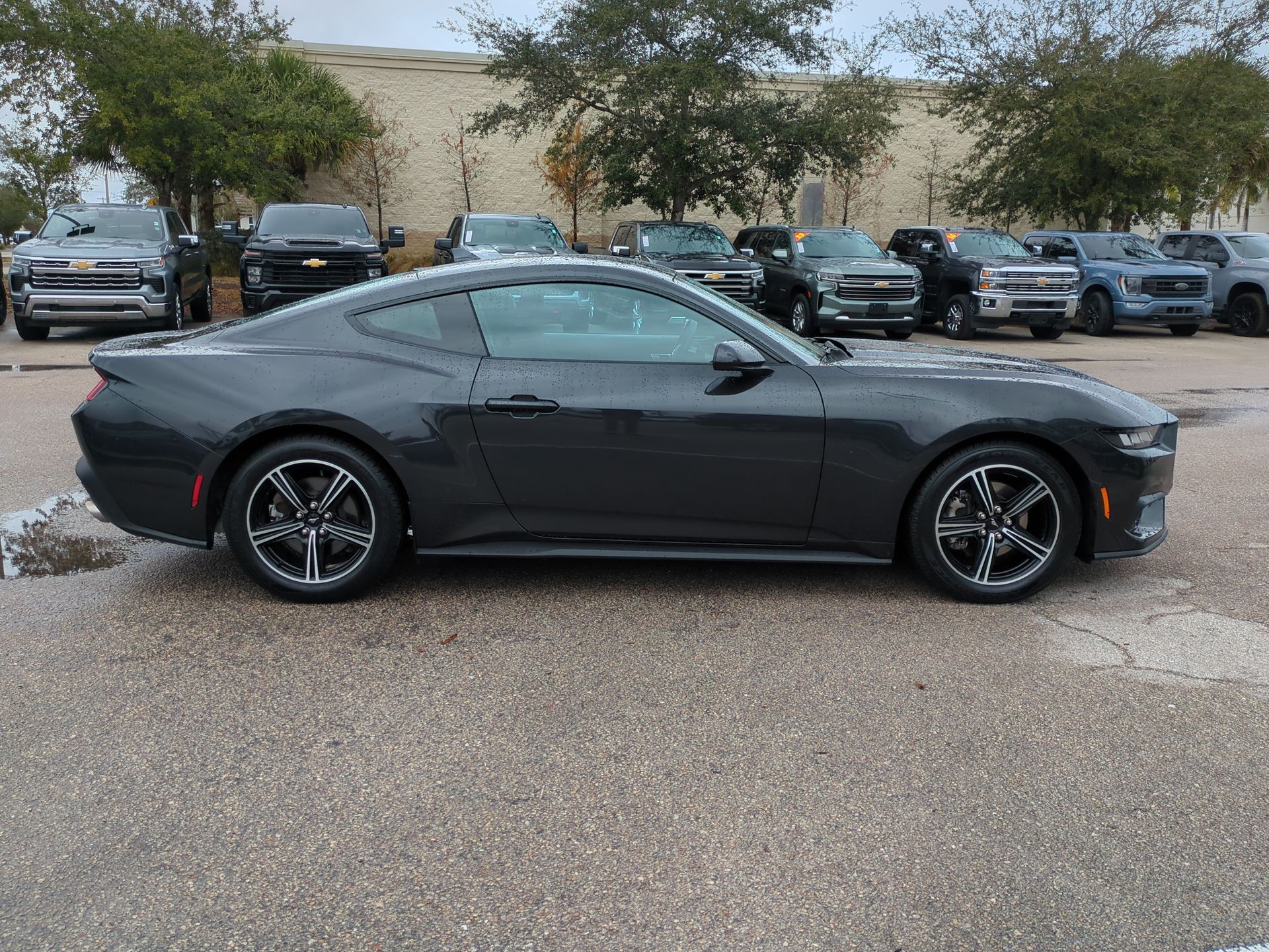 2024 Ford Mustang EcoBoost Fastback