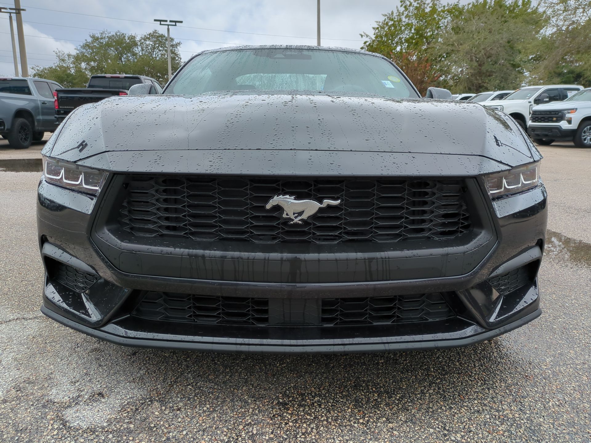 2024 Ford Mustang EcoBoost Fastback
